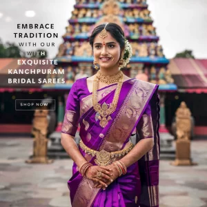 Kanchi Silk-Butta - Heritage Border