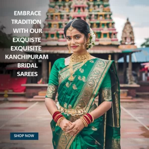 Kanchi Pattu Saree with Classic Border